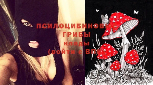 соль курить ск Алзамай
