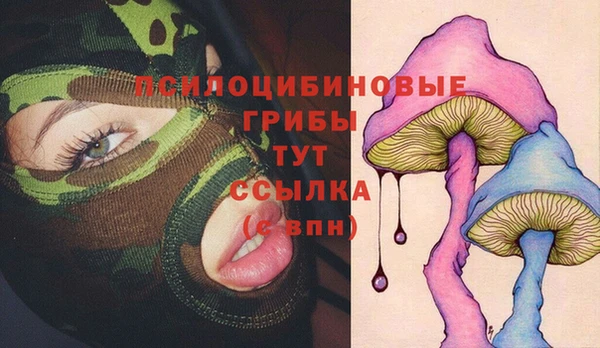 МДПВ Алексин