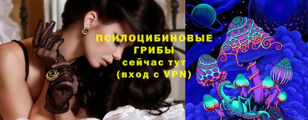 сатива Майский