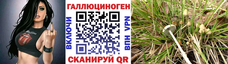 omg вход  где можно купить наркотик  Подпорожье  Псилоцибиновые грибы MAGIC MUSHROOMS 