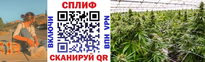 Канабис SATIVA & INDICA Подпорожье